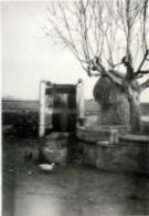 Pou, paller i animals masia desconeguda Prat any 1944
